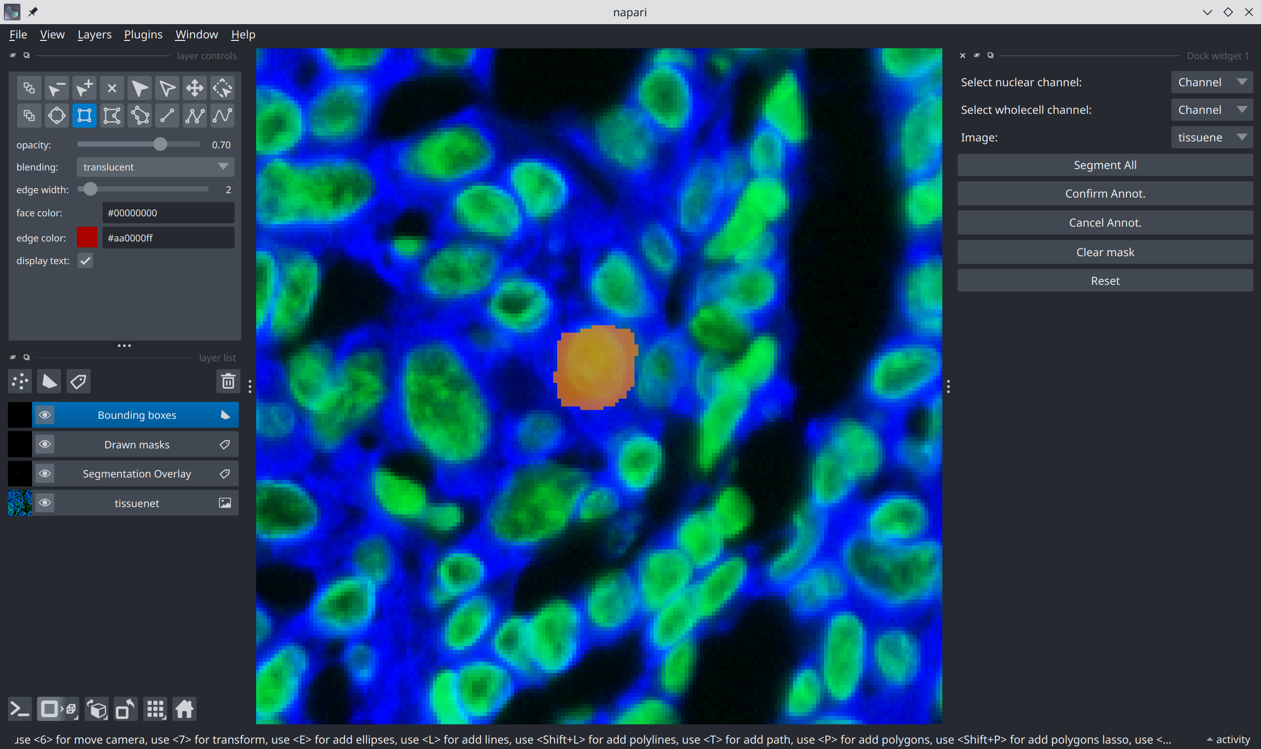 napari-single-cell-segmented