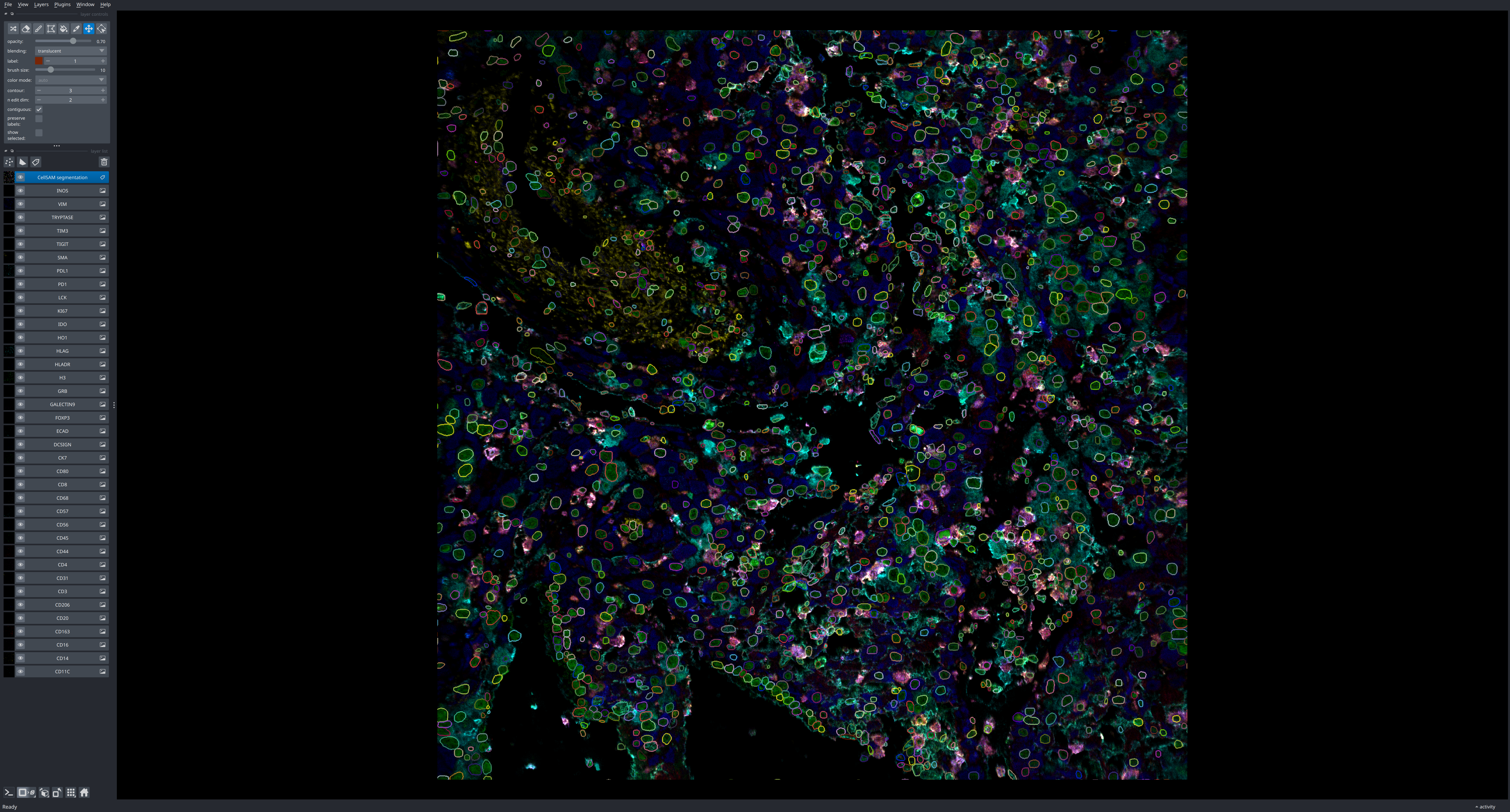 Napari window of multiplexed image and computed segmentation mask
